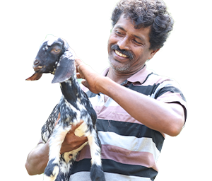 Swades Foundation EconomicDevelopement Illustration 5