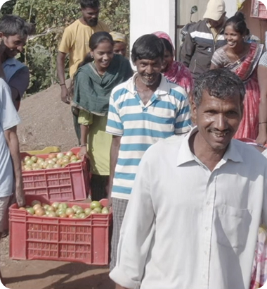 Rural agricultural field in India