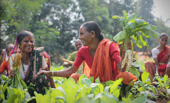 Grant Making and CSR Funding Need a "4 E MINDSET” FOR TRANSFORMATIONAL CHANGE